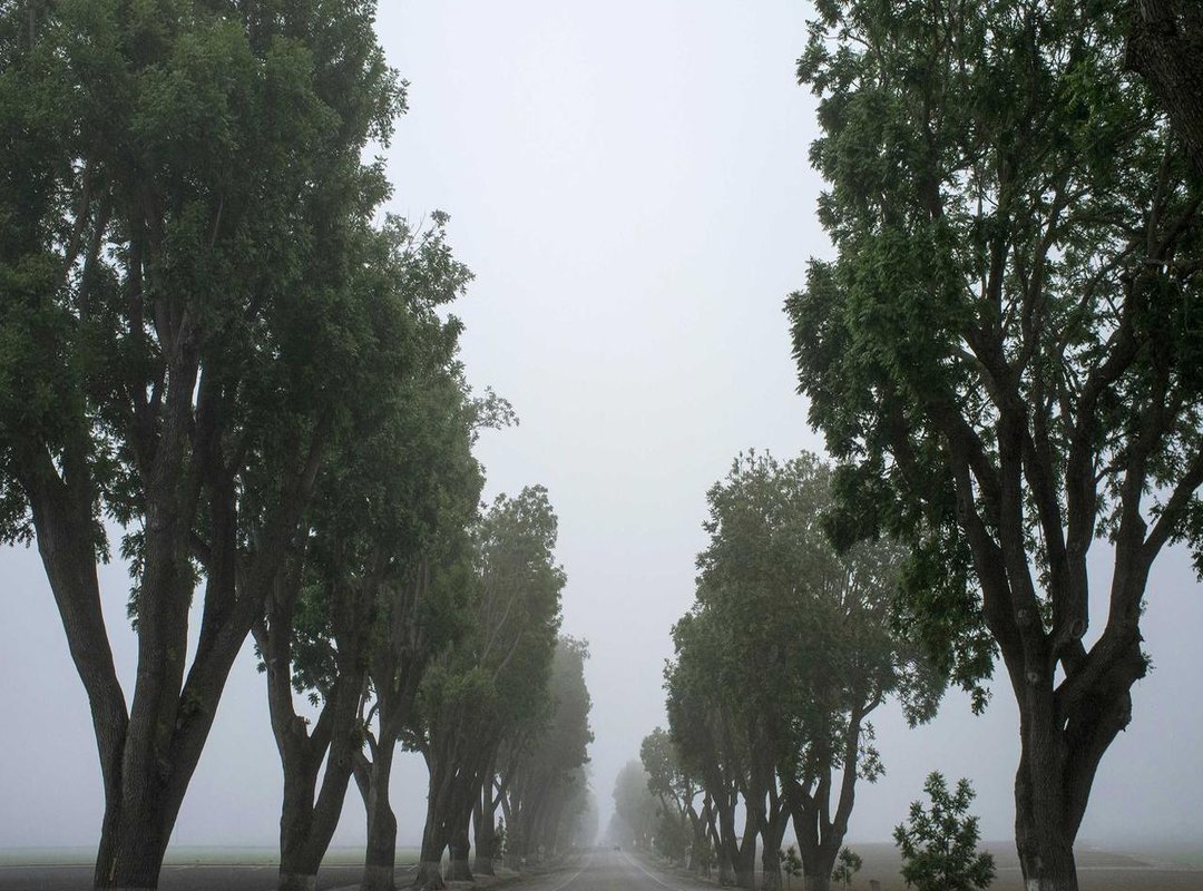 A Deep Dive: Analyzing the Lyrics of a Signature Song