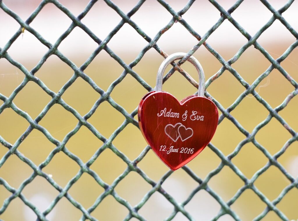 adam zhurek versuri romana