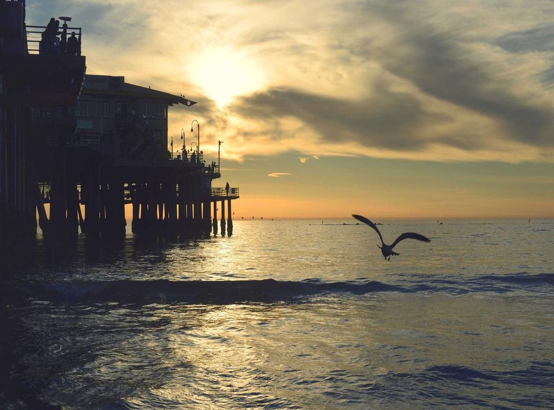 The Buyer's Checklist: 4 Things to Check Before You Choose