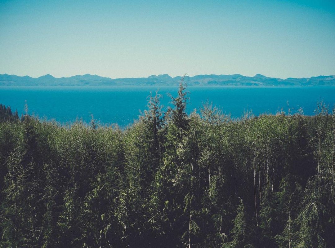 The Conyers Strategy: Deconstructing Her Winning Gameplay