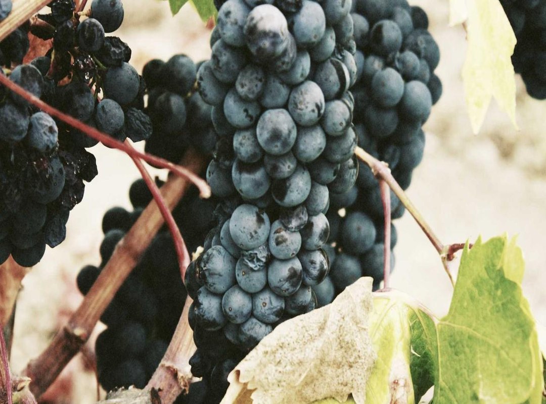 Crafting Your Signature Fitness Post: Putting It All Together