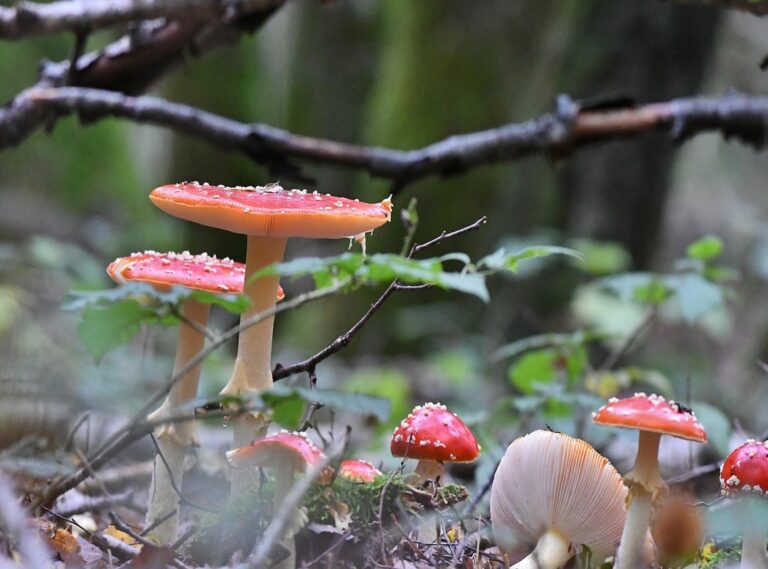 goedemorgen lieverd gif