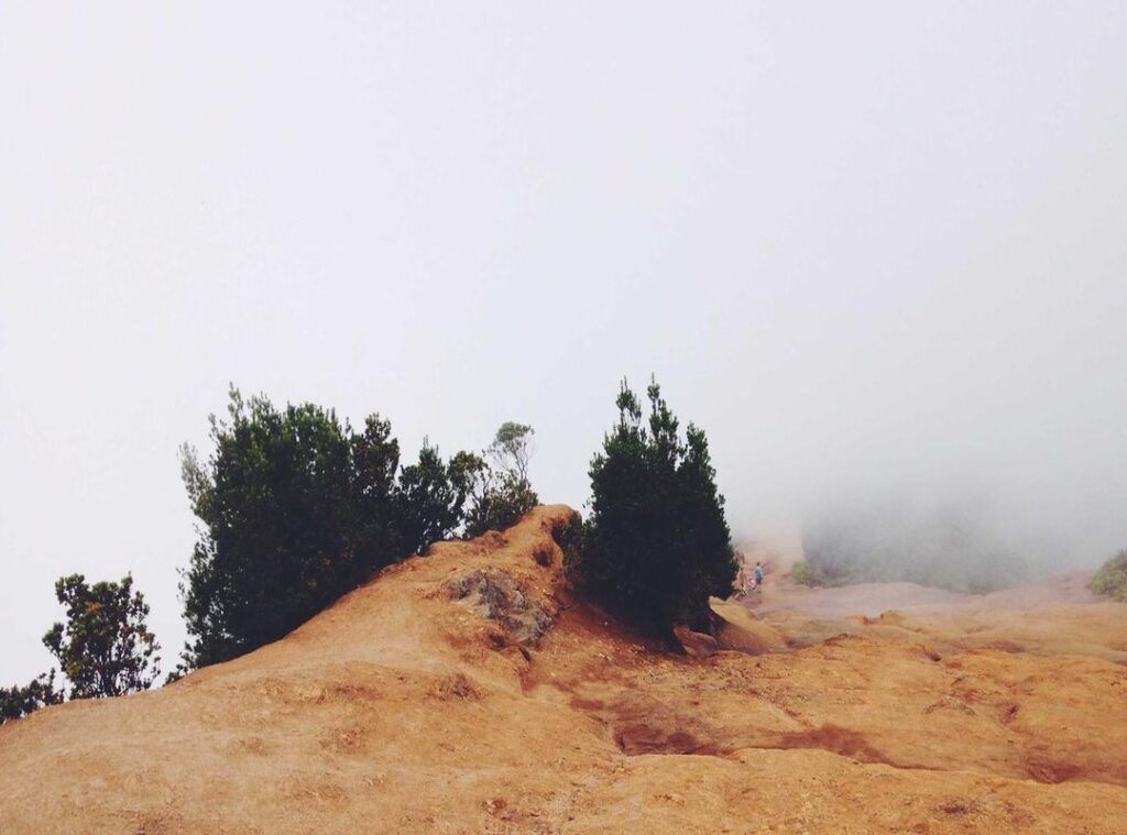 helppoja piirustus ideoita