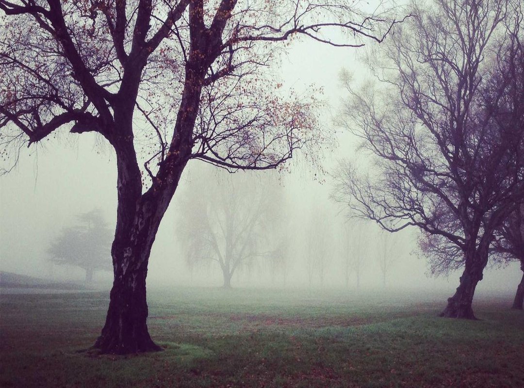 Unsung Heroes: The Stats That Don't Make the Headlines