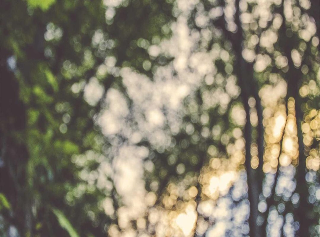 Frequently Asked Questions (FAQs)