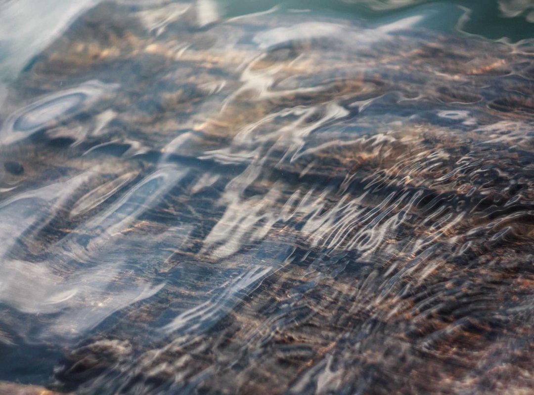 Help! Why Is My Character Already Bald? (A Troubleshooting Guide)