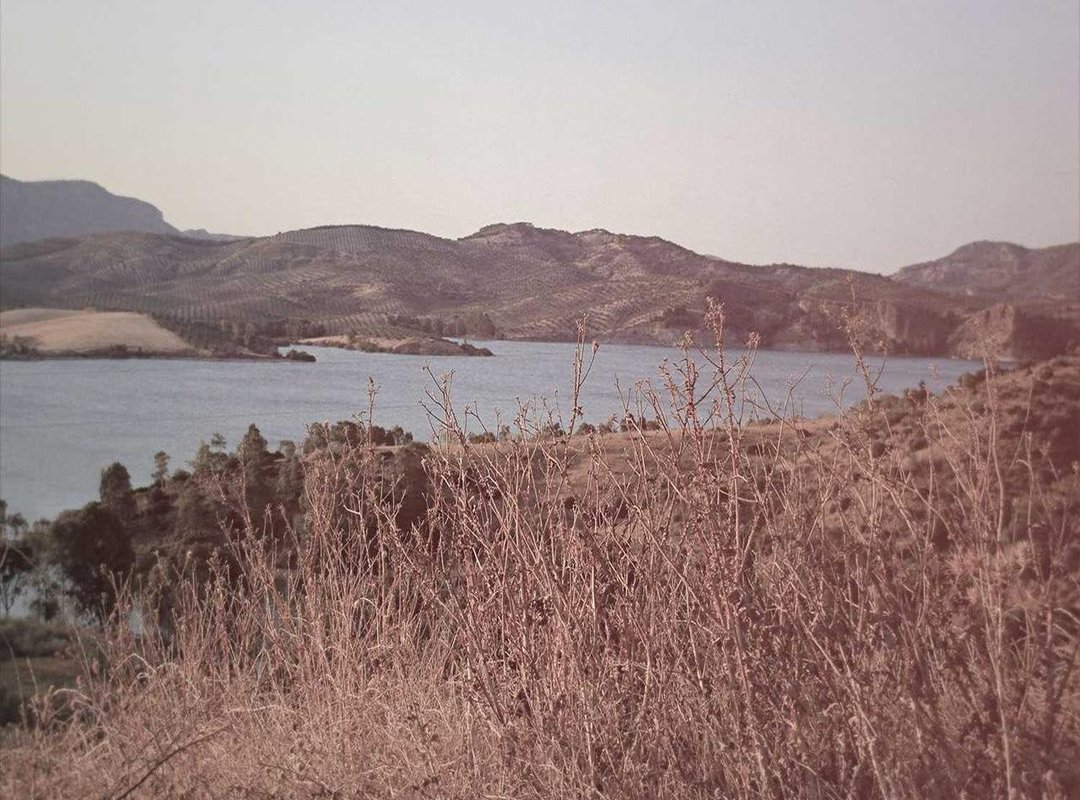 The Verdict: How It Stacks Up Against Competitors